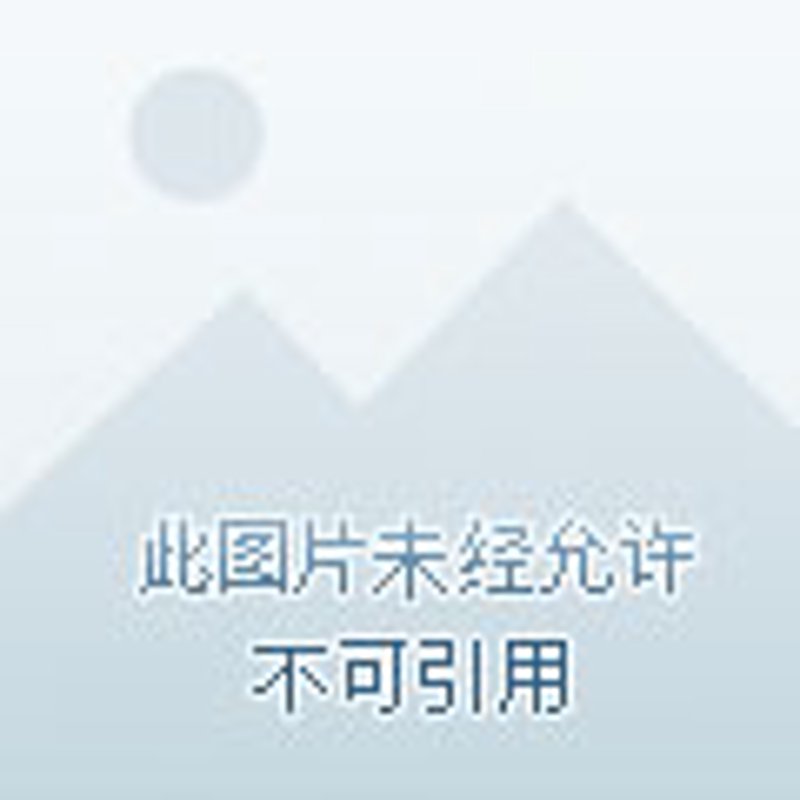 选购软件开发服务指南：为您的项目找到最好的伙伴